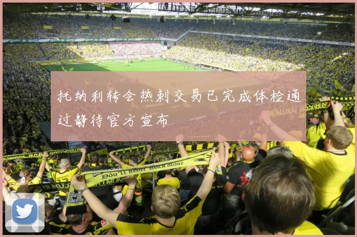 托纳利转会热刺交易已完成体检通过静待官方宣布