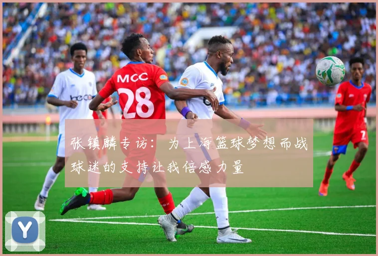 张镇麟专访：为上海篮球梦想而战球迷的支持让我倍感力量
